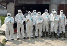 बर्डफ्लुको महामारीपछि २ लाख २७ हजार कुखुरा मारिँदै