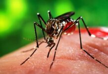 भारतका कारण नेपालबाट औलो उन्मुलनमा समस्या, नवलपुरमा ७ जना बिरामी