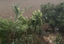 बुधबार तीव्र गतिमा हुरी चल्ने, सावधानी अपनाउन आग्रह