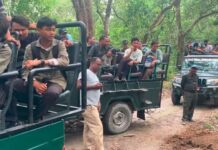 अर्को व्यवस्था नहुँदा सम्मका लागि जंगल सफारी बन्द