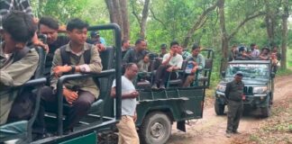अर्को व्यवस्था नहुँदा सम्मका लागि जंगल सफारी बन्द