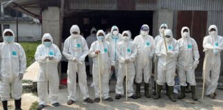 बर्डफ्लुको महामारीपछि २ लाख २७ हजार कुखुरा मारिँदै