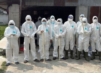 बर्डफ्लुको महामारीपछि २ लाख २७ हजार कुखुरा मारिँदै