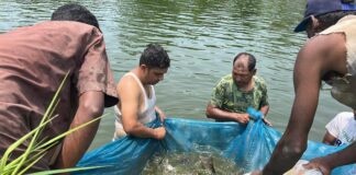 सीमामा कडाइले नवलपुरका माछा व्यवशायी उत्साहित