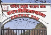 सदर चिडियाखानाका जीवजन्तुमा बर्ड फ्लु देखिएपछि अनिश्चितकालका लागि बन्द