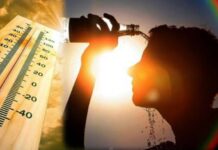 लूको जोखिम बढ्यो, जोगिन यस्ता उपाय अपनाउन विशेषज्ञको सुझाव