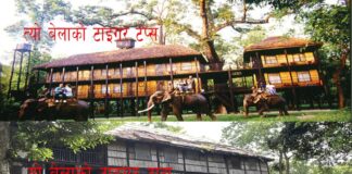 टाइगर टप्सको त्यो शान, यो दुरावस्था (भिडियोसहित)