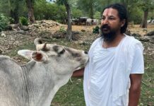 दशकौंदेखि रैथाने गाई संरक्षाण गरेर धर्म, संस्कृति र पर्यावरण जोगाउने अभियानमा स्वामी प्रपन्नाचार्य