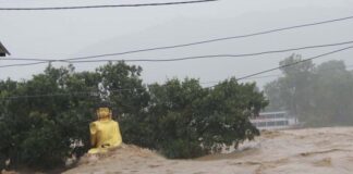 नारायणी पुलमाथि सवारी साधन चलाउन र हिँडडुल गर्न प्रतिवन्ध
