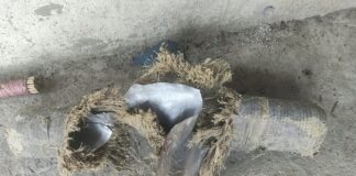 नारायणी नदी किनारमा भेटिएका दुई शंकास्पद बस्तु पड्किँदा ३ जना घाइते